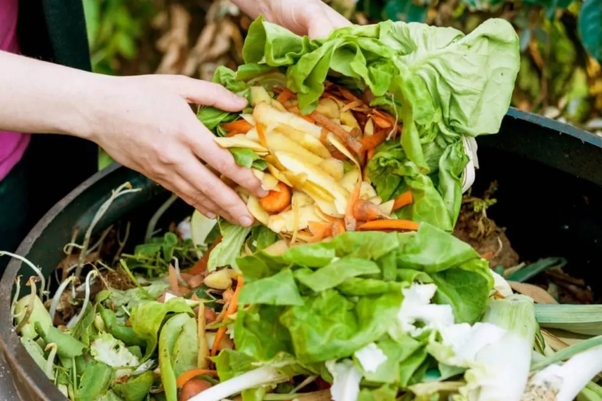 Mengurangi Limbah Makanan untuk Menjaga Ketahanan Pangan