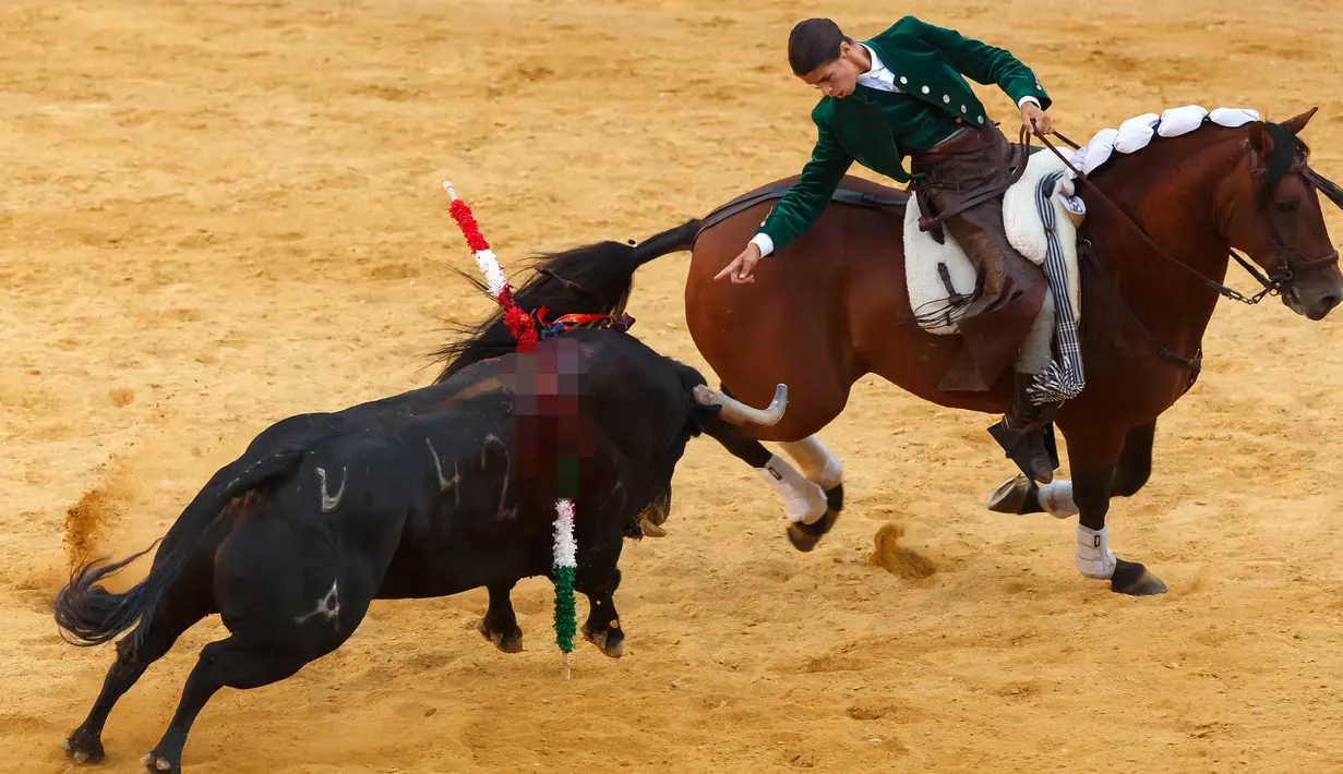 Matador Prancis, Lea Vicens bersama kudanya melawan banteng saat acara San Antolin Feria di Palencia, Spanyol pada 28 Agustus 2016. (AFP PHOTO / CESAR MANSO)