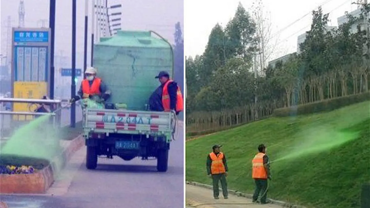 Rumput Hijau di China Gunakan Pewarna Kimia?