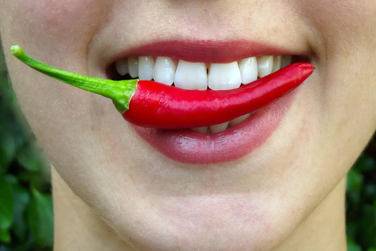 Ilustrasi makanan pedas. Image by englishlikeanative from Pixabay