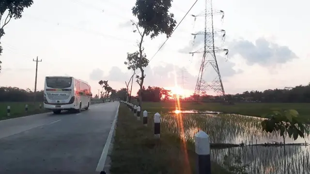 Jalan provinsi antara Pangandaran-Sidareja-Purwokerto. (Foto: Liputan6.com/Muhamad Ridlo)