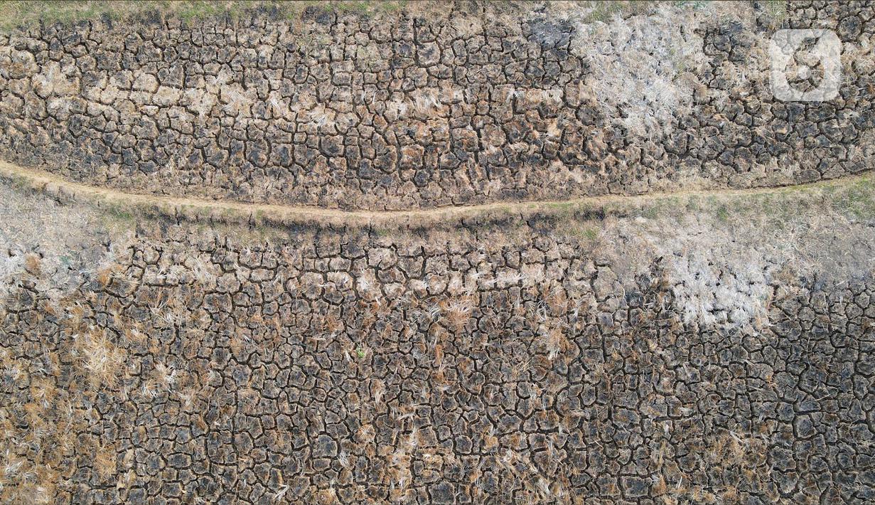 Pelaksana tugas (Plt) Deputi BMKG urip Haryoko menuturkan puncak kekeringan diprediksi terjadi pada September dan Oktober 2023. (merdeka.com/Imam Buhori)