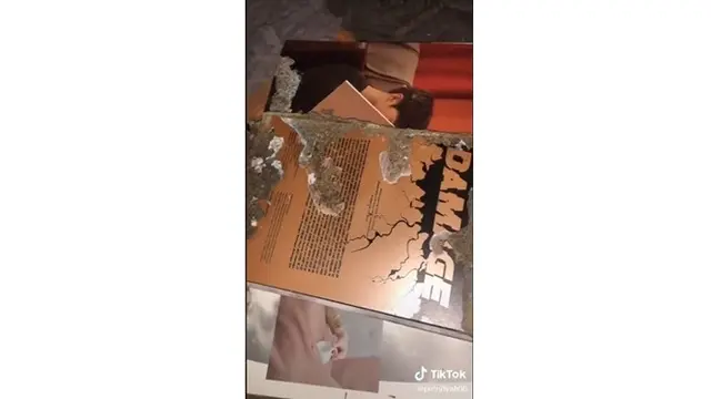 Cewek Ini Nangis Koleksi Album Kpop Idolanya Dimakan Rayap, Penampakannya Ngeri