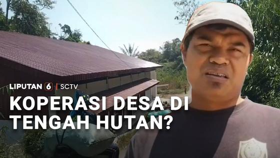 Koperasi Desa di Tengah Hutan?