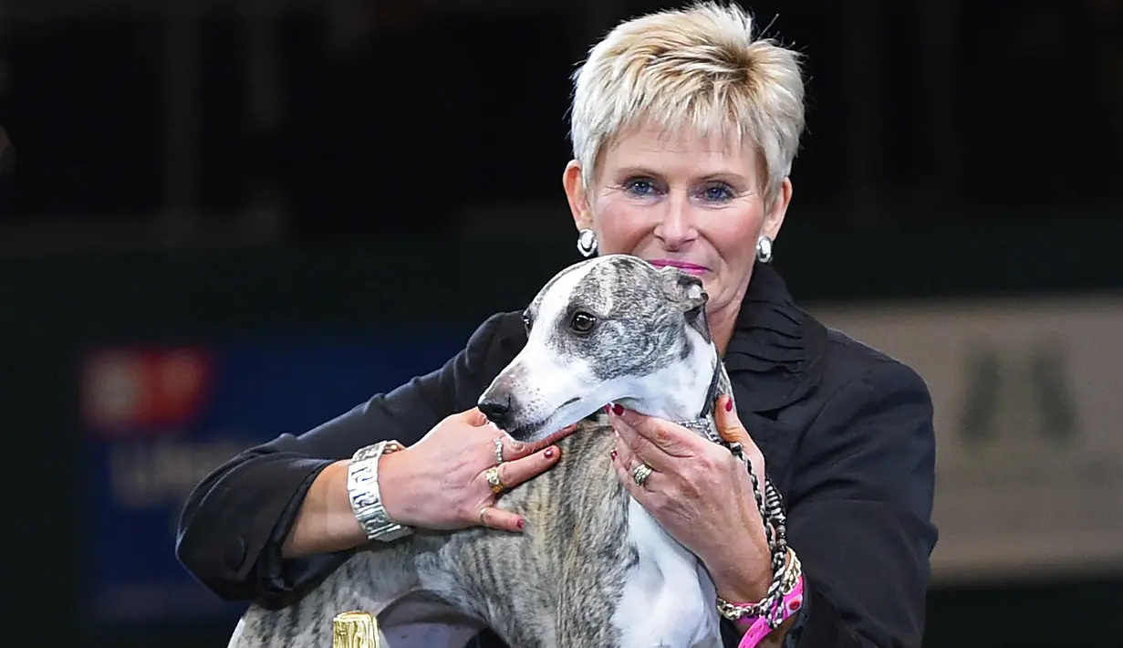 Yvette Short berpose dengan "Collooney Tartan Tease" (Tease), the Whippet, pemenang kompetisi Best in Show pada hari terakhir Crufts dog show 2018 di National Exhibition Centre di Birmingham, Inggris (11/3). (AFP Photo/Oli Scarff)