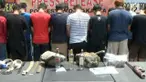 Diduga merusak sebuah rumah di wilayah Mantrijeron, puluhan anggota genk pelajar di kota Yogyakarta, dibekuk Polisi.