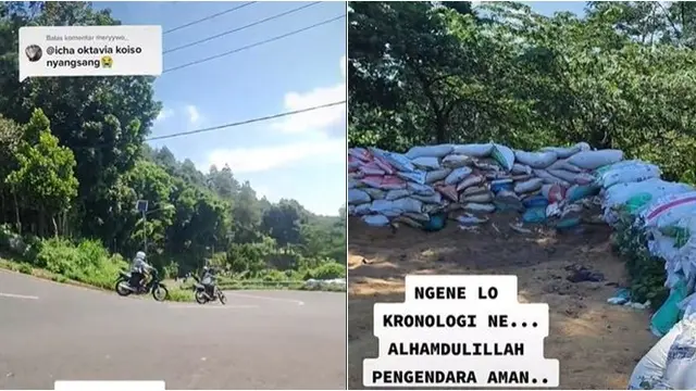 Alami Rem Blong, Motor Wisatawan Ini Nyangkut ke Atas Pohon Setinggi 3 Meter