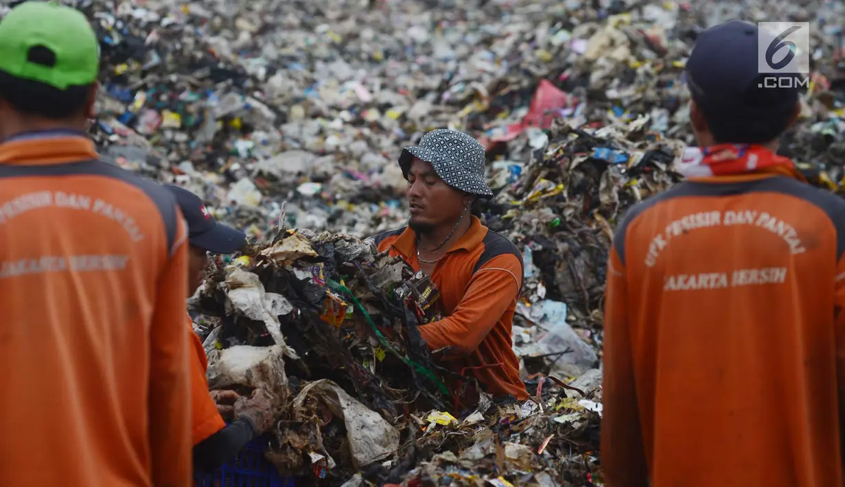 Petugas Suku Dinas Lingkungan Hidup membersihkan sampah plastik yang menumpuk di kawasan wisata hutan Mangrove Muara Angke, Jakarta, Sabtu (17/3). (Merdeka.com/Imam Buhori)