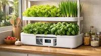 7 Ide Kebun Mini Indoor dengan Pengairan Otomatis, Cocok untuk Rumah Minimalis
