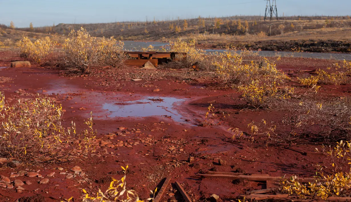 Foto yang diambil 8 September 2016 menunjukkan genangan air berwarna merah di tepi sungai Daldykan di Krasnoyarsk, Rusia. Sungai itu berubah menjadi merah karena tumpahan nikel yang hanyut dari pabrik nikel terbesar di dunia, Norilsk Nickel. (REUTERS)