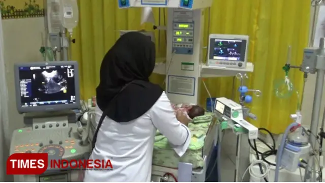 Bayi Kembar Siam di Probolinggo