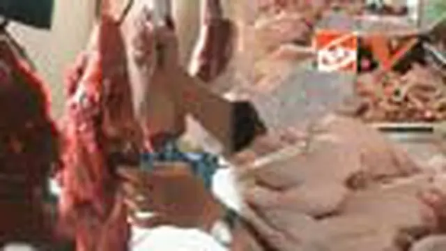 Daging-Daging Berbahaya