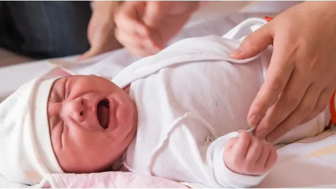 copyright by shutterstock.com