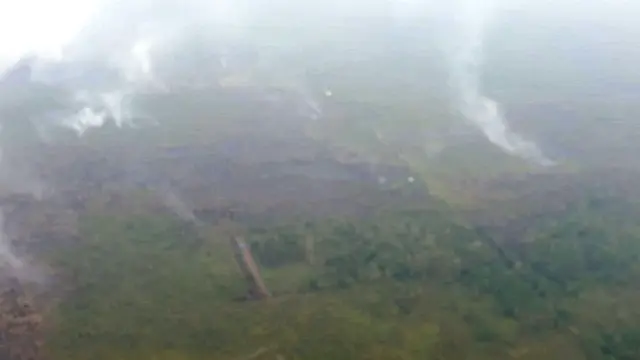 Kebakaran Hutan