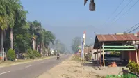 Kabut asap lahan gambut yang sudah masuk di jalur trans Sulawesi, Kolaka Timur.(Liputan6.com/Ahmad Akbar Fua)