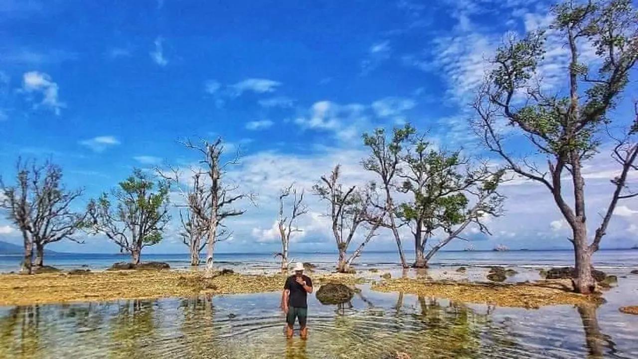 Pulau Oar