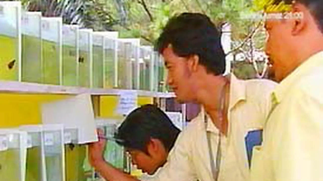 250307ccupang.jpg