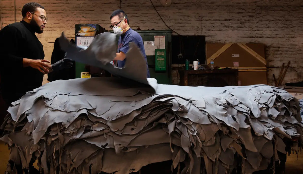 Oui Nguyen (kanan) dan Delray Daley berbincang mengenai bahan kulit di pabrik Horween Leather Co, Chicago, AS (11/1). Selain bola American Football, bahan ini dapat digunakan pembuatan bola atau sepatu olahraga. (AP Photo/Charles Rex Arbogast)