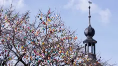 Sebuah pohon robinia yang dihias dengan 10.000 telur paskah warna-warni di kota Saalfeld, Jerman, Jumat (30/3). Pohon Paskah, merupakan tradisi lain yang berumur berabad-abad dan dibuat dari pohon atau semak kecil yang masih hidup. (AP/Jens Meyer)