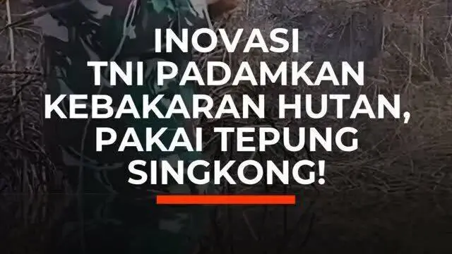 Inovasi TNI Padamkan Kebakaran Hutan, Pakai Tepung Singkong!