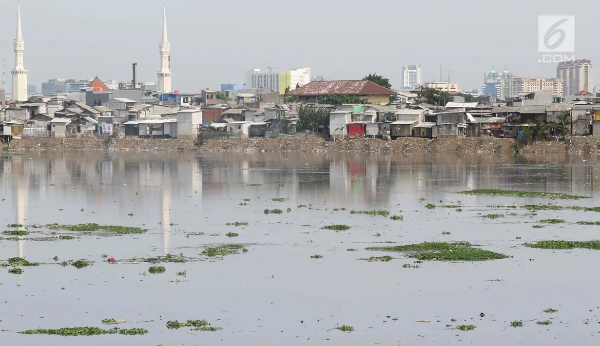 Suasana Waduk Pluit yang banyak tumbuh enceng gondok, Jakarta, Senin (17/12). Kurangnya perhatian serta perawatan menyebabkan tanaman yang berpotensi menjadi hama tersebut kembali tumbuh dan berkembang di Waduk Pluit. (Liputan6.com/Immanuel Antonius)