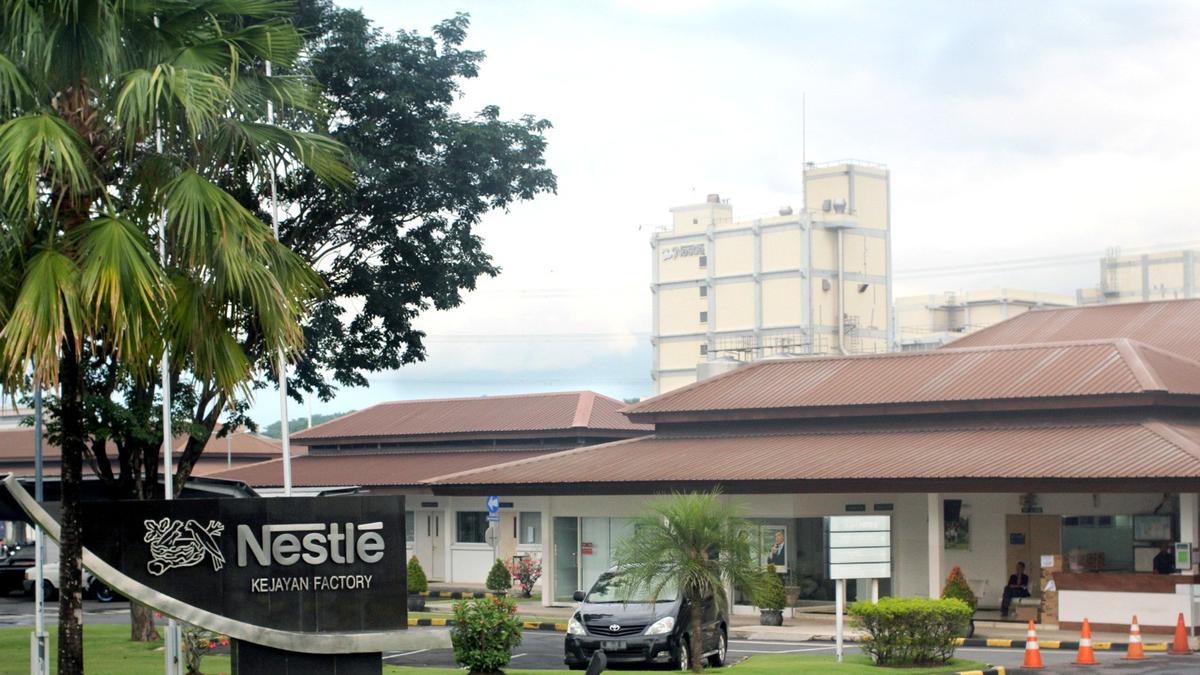 Nestle Indonesia Buka Banyak Lowongan Kerja, Simak Posisi dan Syaratnya di Sini!