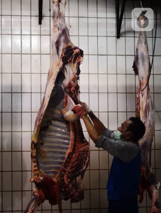 Aktivitas petugas penyembelihan hewan kurban di Rumah Pemotongan Hewan (RPH) Dharma Jaya, Jakarta, Rabu (21/7/2021). Dinama RPH Dharma Jaya menerima pemotongan sebanyak 600 ekor sapi dengan penerapan protokol kesehatan saat penyembelihan dengan tes swab sebelum bekerja.  (merdeka.com/Imam Buhori)