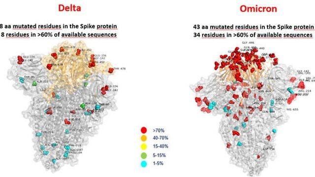 Gambar pertama varian Omicron, dibandingkan dengan varian Delta, dibuat oleh Rumah Sakit Bambino Ges di Roma (AFP)