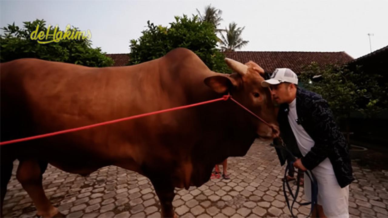 Irfan Hakim jadi anak kandang