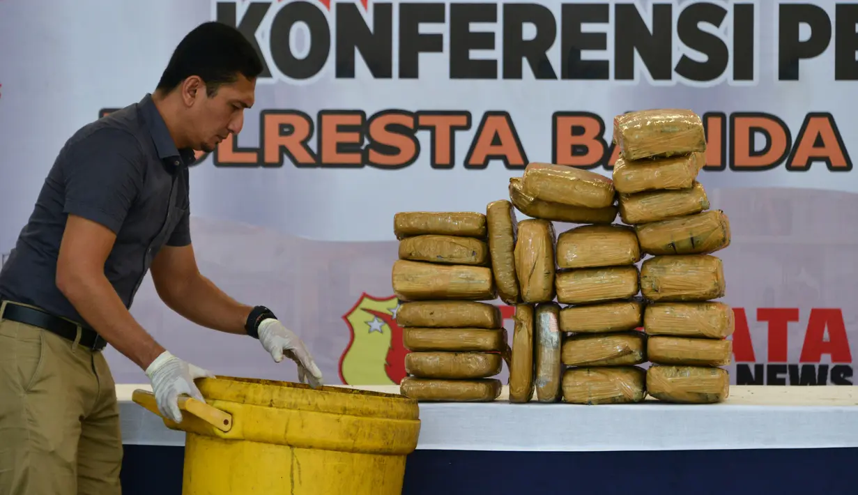 Petugas menata barang bukti berupa paket ganja sebelum rilis kasus di Banda Aceh, Aceh, Kamis (23/5/2019). Satresnarkoba Polresta Banda Aceh mengamankan satu ton paket ganja, tiga tersangka dan satu unit truk tronton saat akan membawa narkotika ke Jakarta. (CHAIDEER MAHYUDDIN/AFP)