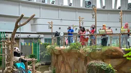 Para pengunjung mengabadikan foto panda raksasa Yi Yi di Pusat Konservasi Panda Raksasa Kebun Binatang Negara dekat Kuala Lumpur, Malaysia, 19 Desember 2020. Berdasarkan penilaian saat ini, Kebun Binatang Negara akan tetap dibuka sesuai jadwal. (Xinhua/Chong Voon Chung)