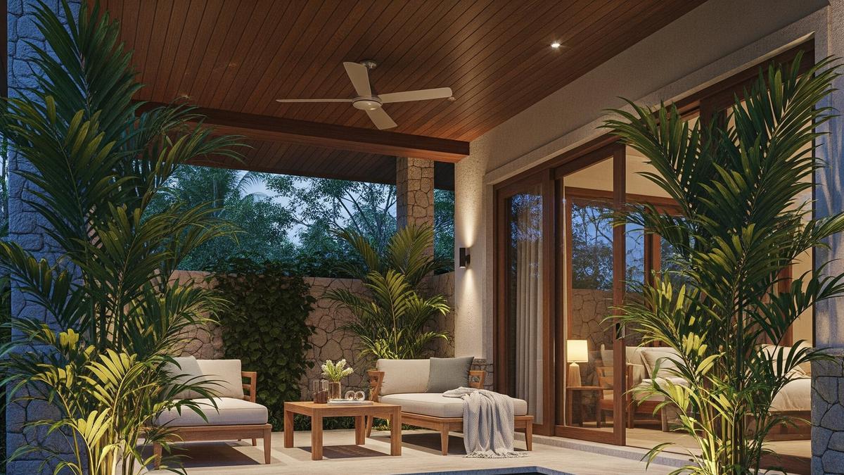 10 Tanaman Teras Rumah yang Tidak Bikin Cepat Kotor, Pilihan Praktis untuk Dekorasi