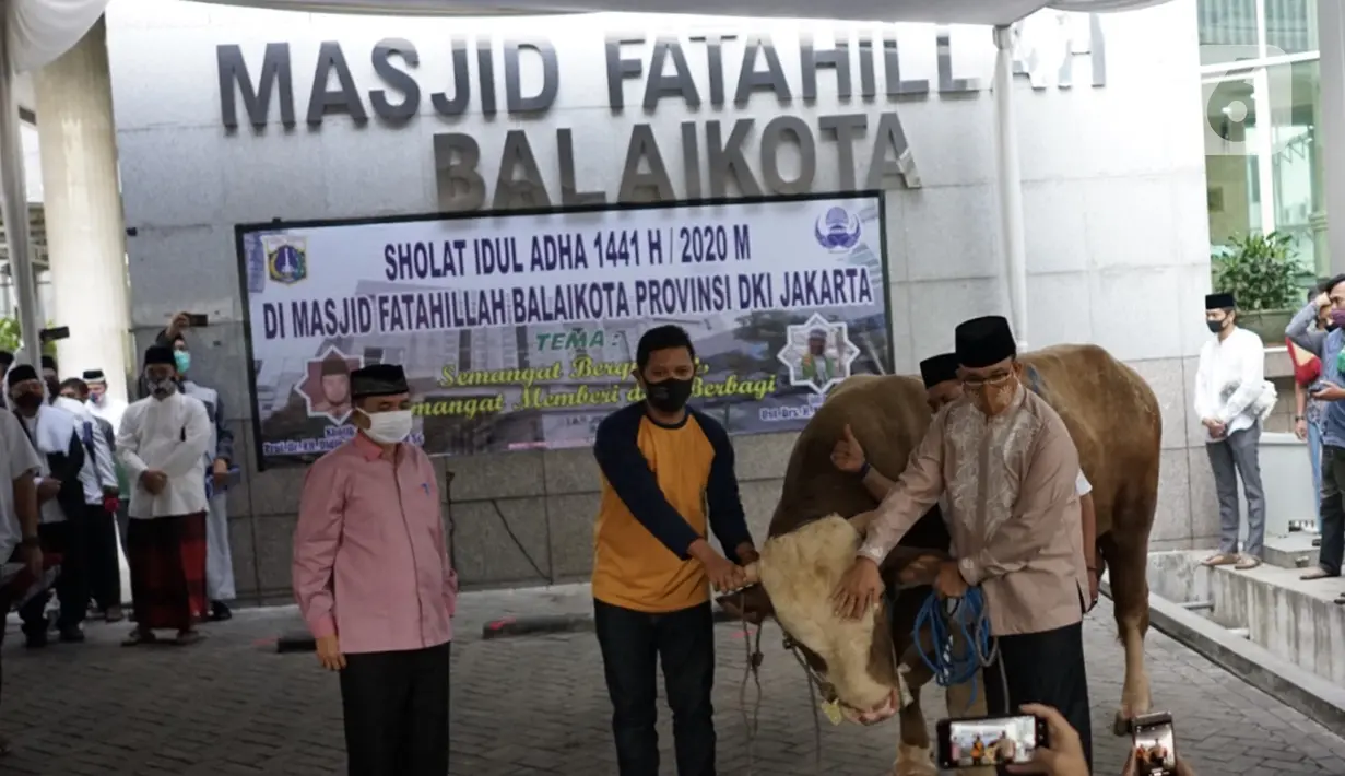 Gubernur DKI Jakarta Anies Baswedan (kanan) menyerahkan sapi kurban di Balai Kota, Jakarta, Jumat (31/7/2020). Pada Hari Raya Idul Adha tahun ini, Anies menyumbangkan sapi kurban jenis limosin seberat 1,3 ton. (Liputan6.com/Immanuel Antonius)
