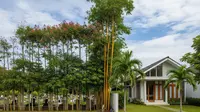 9 Desain Rumah Dekat Kuburan Agar Tak Terlihat Seram, Nyaman Anti Mencekam