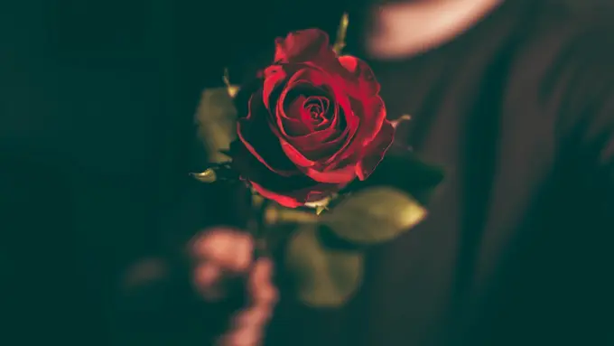 [bintang] Biar Seru, Rayakan Valentine sama 4 Zodiak yang Romantis Nggak Ada Obat Ini