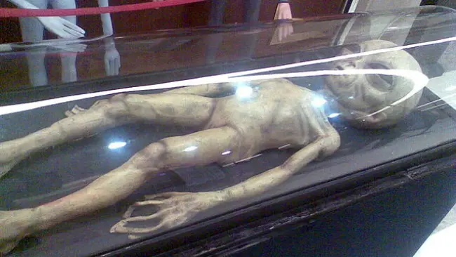 Museum alien di Diyarbakir. (Sumber Wikimedia/Hedda Gabler)