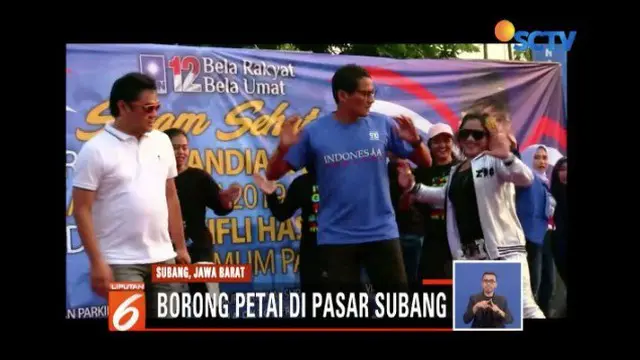 Aksi Sandiaga Borong Petai hingga Senam Bareng Emak-Emak Subang
