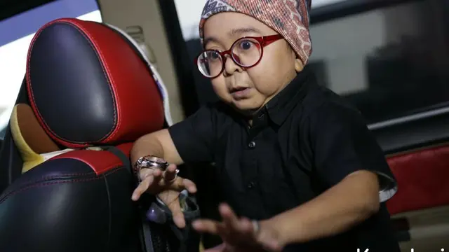 [Bintang] Daus Mini