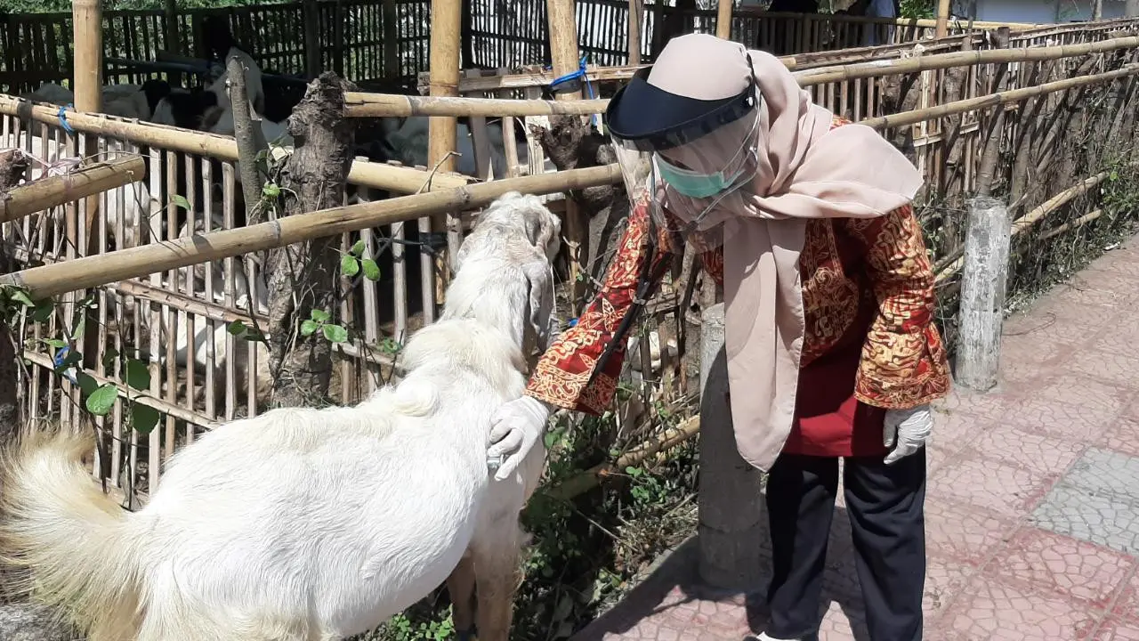 Banyuwangi