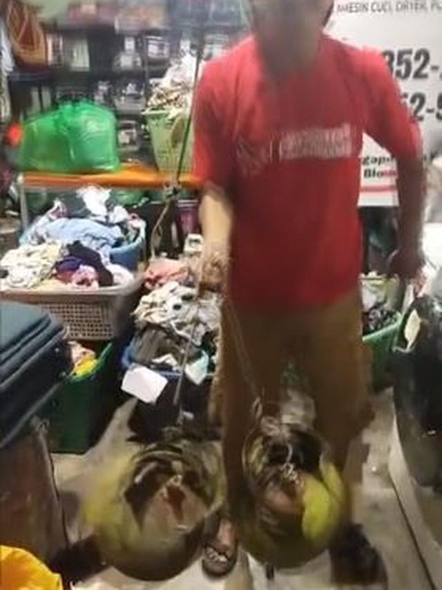 6 Potret Latto-Latto Anti-Mainstream Ini Bikin Tepuk Jidat, Kocak