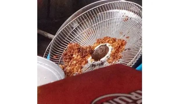 6 Potret Alih Fungsi Tutup Kipas Angin Ini Bikin Geleng Kepala