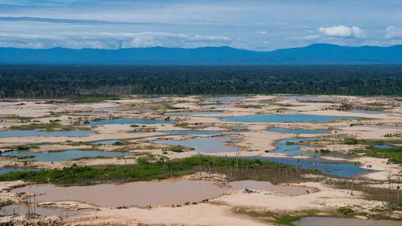 Kerusakan Hutan Amazon Akibat Penambangan Ilegal