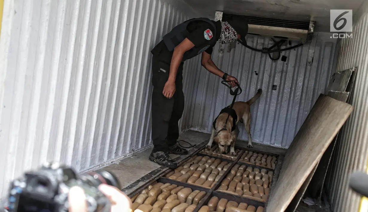 Petugas BNN dengan anjing pelacak mengendus barang bukti ganja saat konferensi pers kasus tindak pidana narkotika di Jakarta, Jumat (1/2). BNN mengungkap 3 kasus penyelundupan narkotika dari Aceh, Medan dan Bogor. (Liputan6.com/Faizal Fanani)