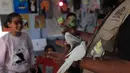 Bersama para relawan, anak-anak pengungsi Palestina bermain bersama beberapa hewan peliharaan dan burung di dalam sebuah tenda studio seni sederhana. Tampak dalam foto, anak-anak pengungsi Palestina mengikuti sesi konseling psikologis di sebuah studio seni yang menggunakan hewan peliharaan dan burung di daerah Al-Zawaida, Jalur Gaza Tengah, pada Selasa 21 April 2026. (Eyad Baba/AFP)