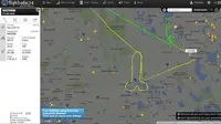 Foto: Pilot Gambar Penis Menggunakan GPS (twitter.com)