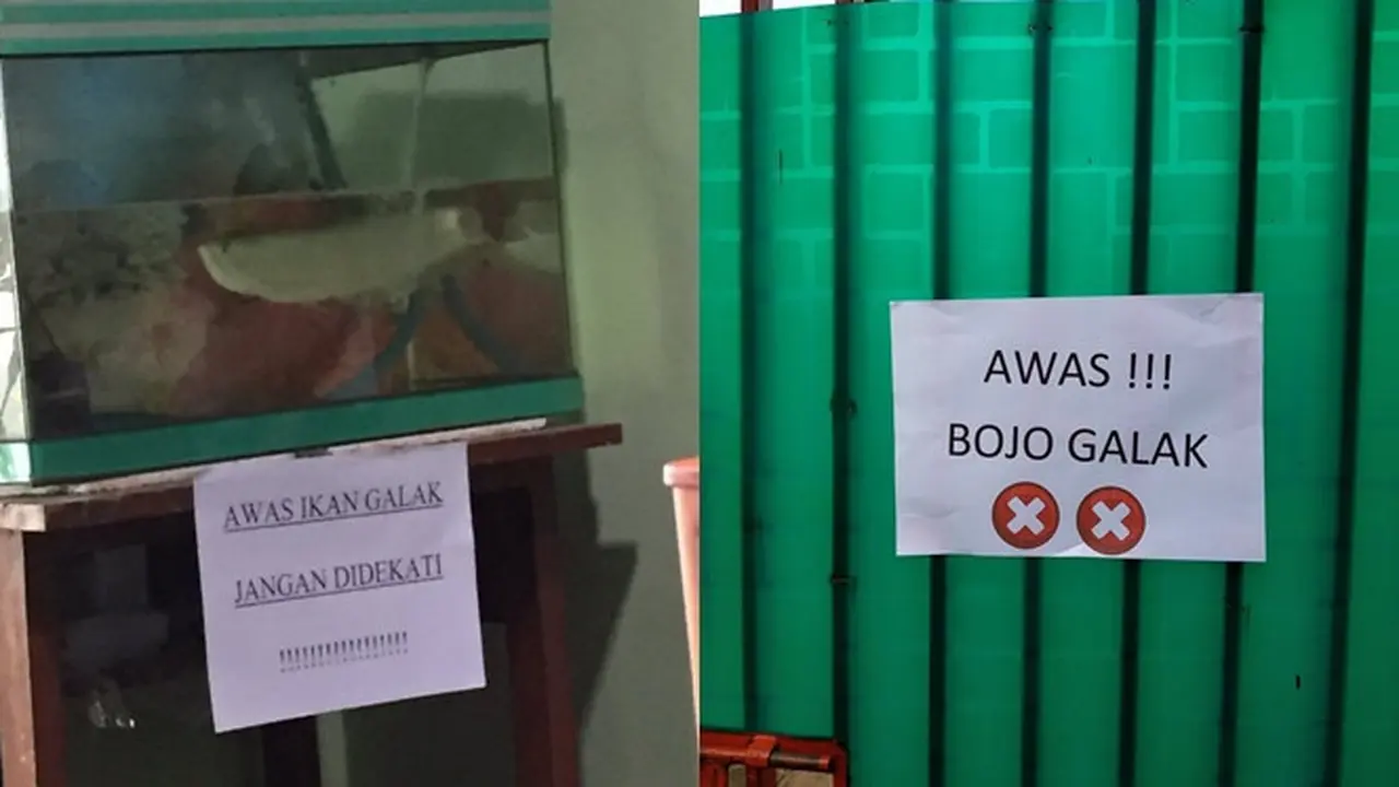 6 Tulisan Absurd 'Awas Galak' Ini Bikin Geleng Kepala
