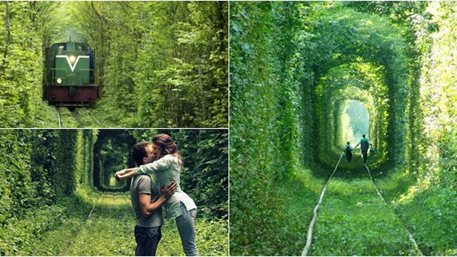 Foto dari Berbagai Sumber