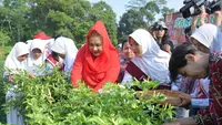 Wali kota Semarang Hevearita Gunaryanti Rahayu bersama beberapa pelajar panen cabai disalah satu perkebunan. Foto (Liputan6/ Felek Wahyu)
