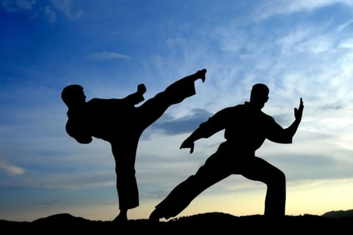 Ilustrasi Pencak Silat