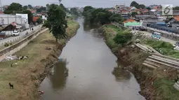 Suasana di sekitar aliran Kali Ciliwung, Jakarta, Selasa (26/3). Normalisasi Kali Ciliwung terganjal pembebasann lahan yang dikuasai warga. Pemprov DKI Jakarta menargetkan tahun 2019 masalah pembebasan tuntas. (Liputan6.com/Immanuel Antonius)